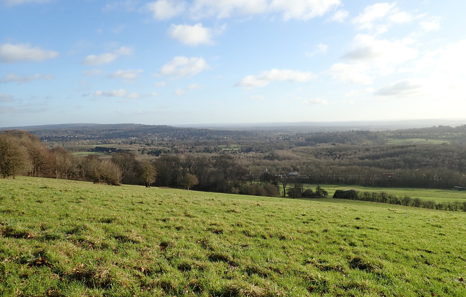 Surrey Hills Boundary Review latest