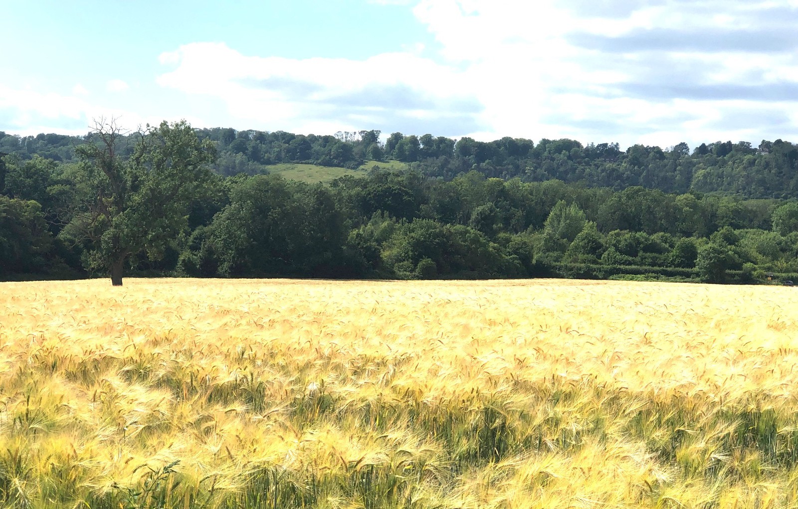 OLRG and Oxted Parish Council win full costs award over Planning Inquiry.